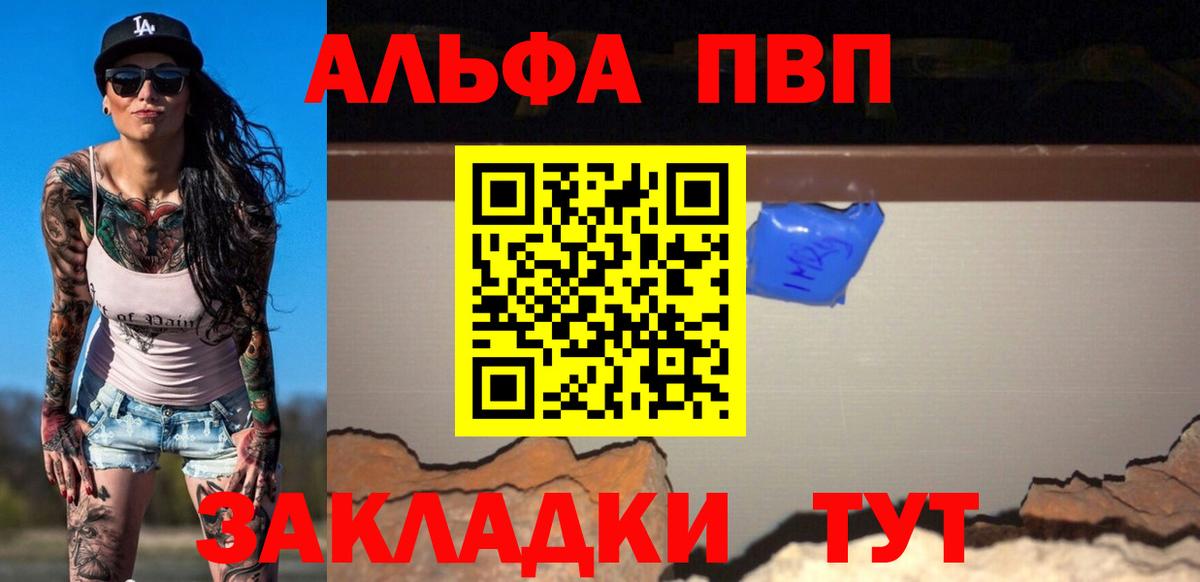 Альфа ПВП СК КРИС Кировск