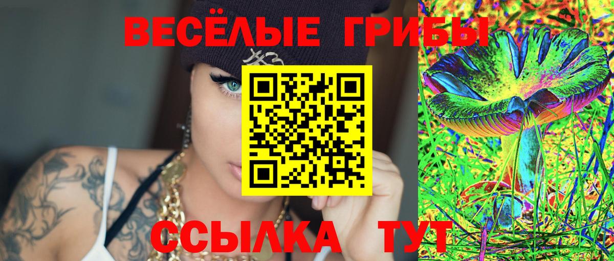 Псилоцибиновые грибы мицелий Кировск