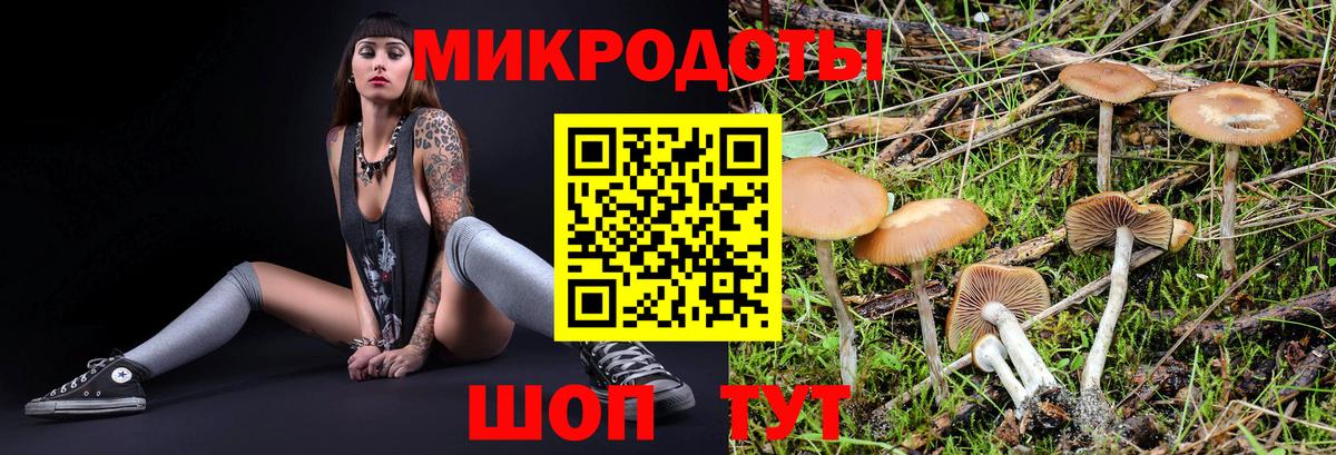 Псилоцибиновые грибы Magic Shrooms  Вход с VPN  Кировск 